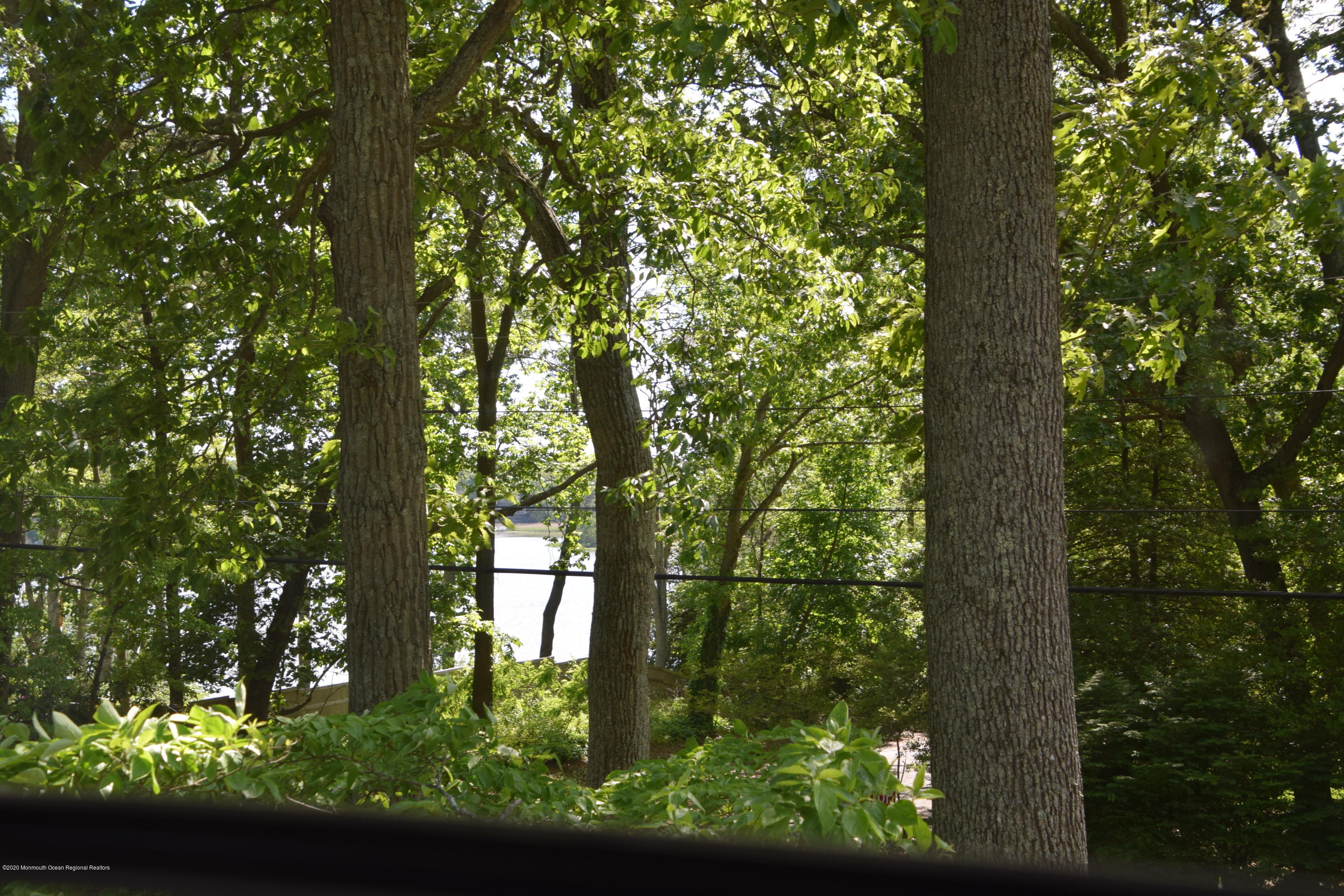 2428 Riverside Terrace Manasquan, NJ 08736 - Photo 5 of 29 DSC_0115