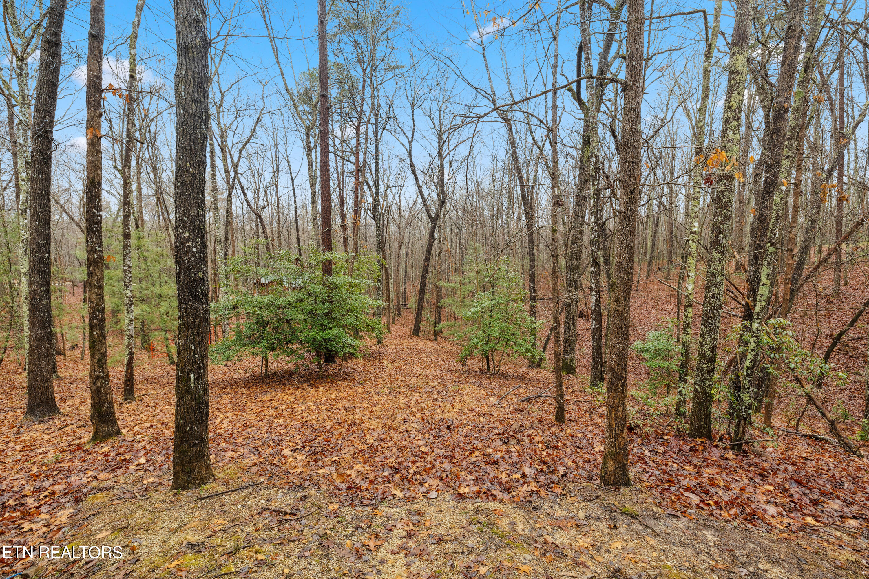 930 Wilderness Trail Oneida, TN 37841 - Photo 26 of 31 Positive Perceptions-26