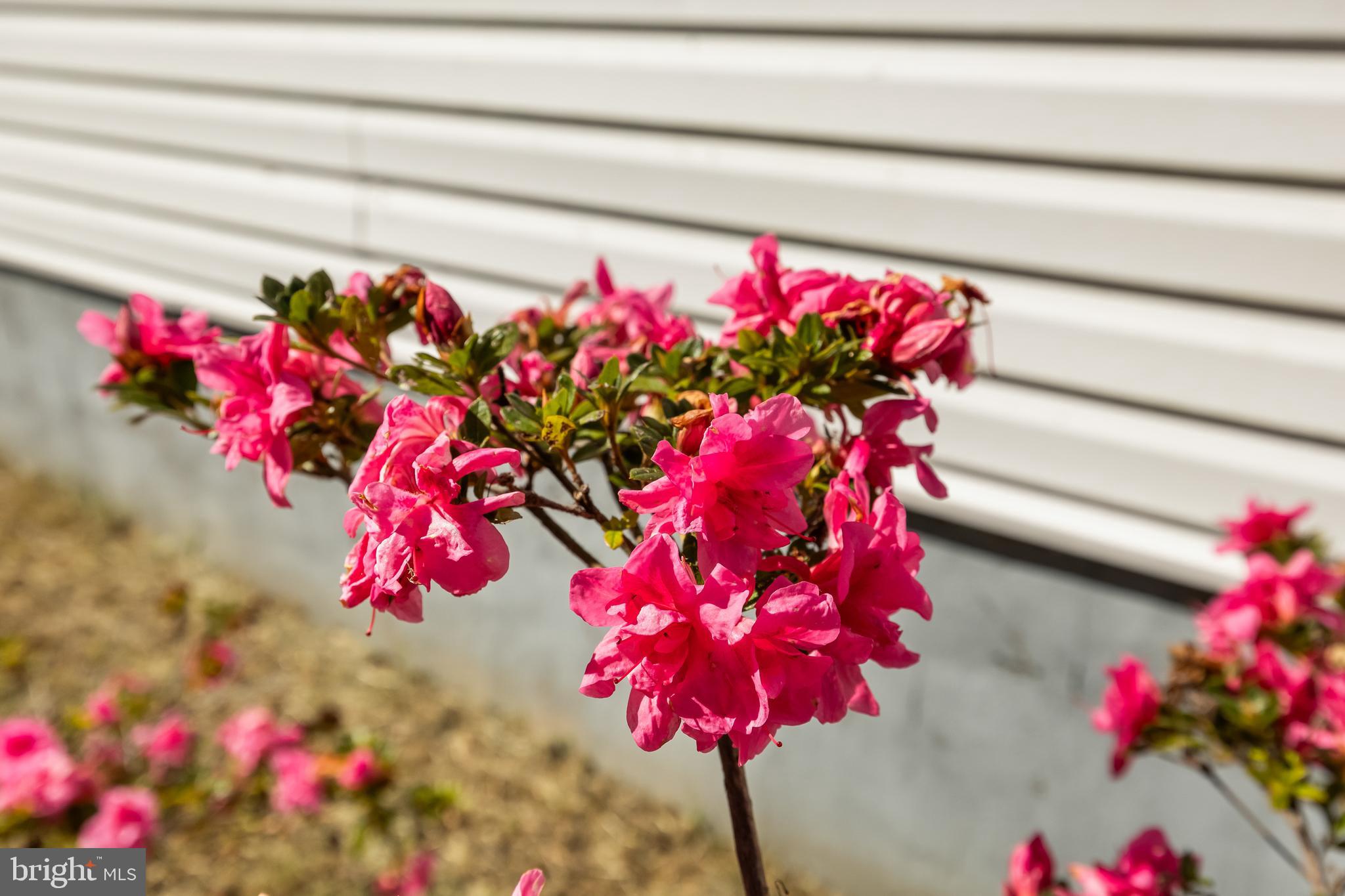 16025 Days Bridge Road Mineral, VA 23117 - Photo 47 of 68 Gallery Image 47