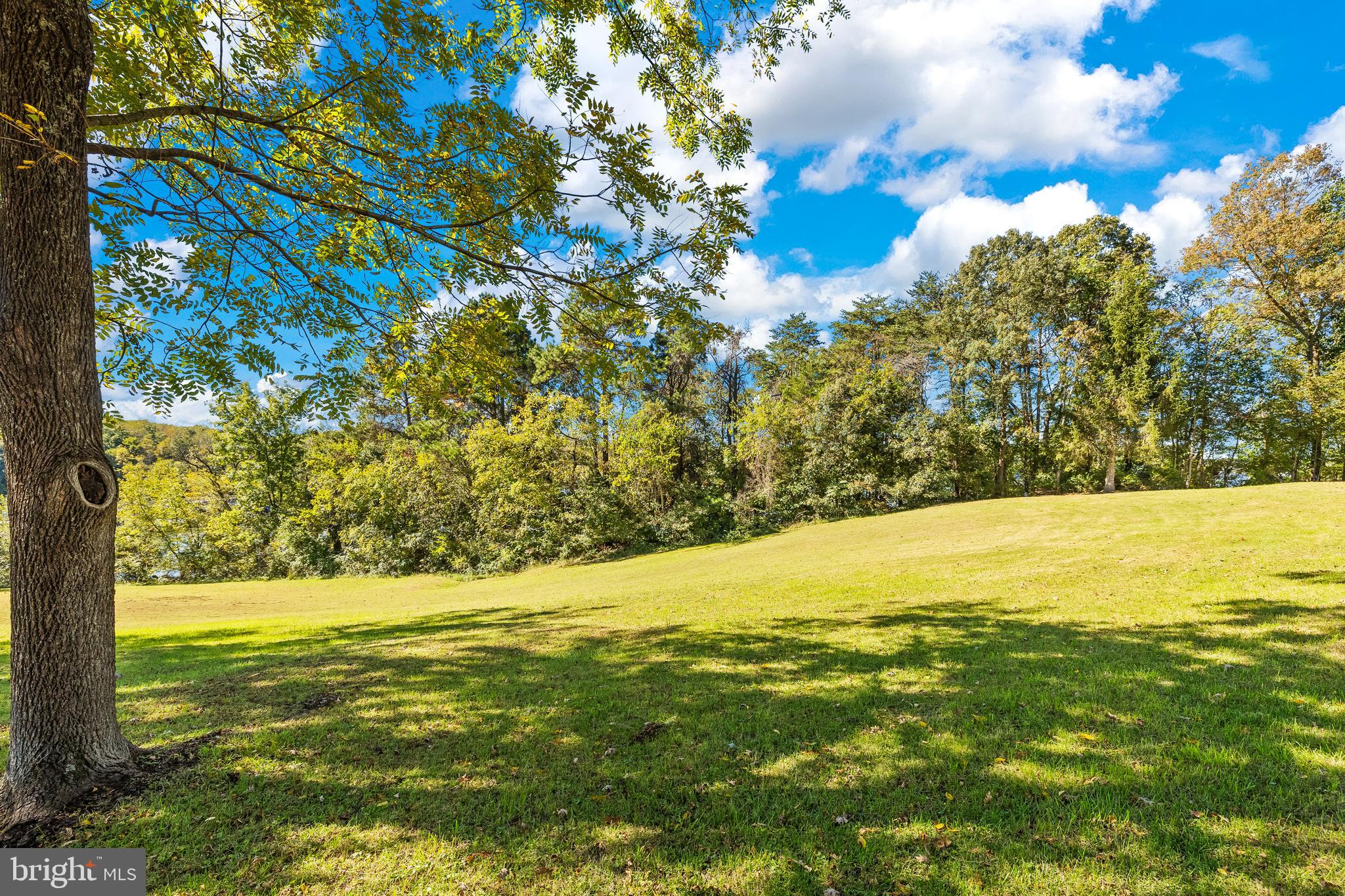 16025 Days Bridge Road Mineral, VA 23117 - Photo 50 of 68 Gallery Image 50