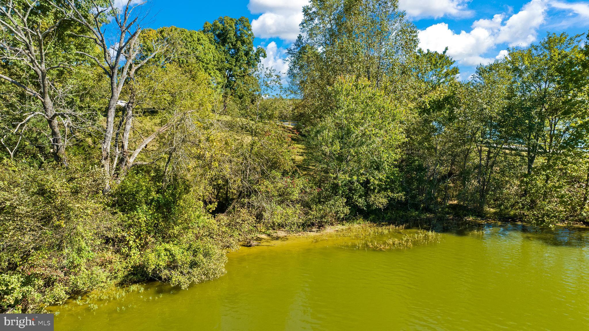 16025 Days Bridge Road Mineral, VA 23117 - Photo 53 of 68 Gallery Image 53