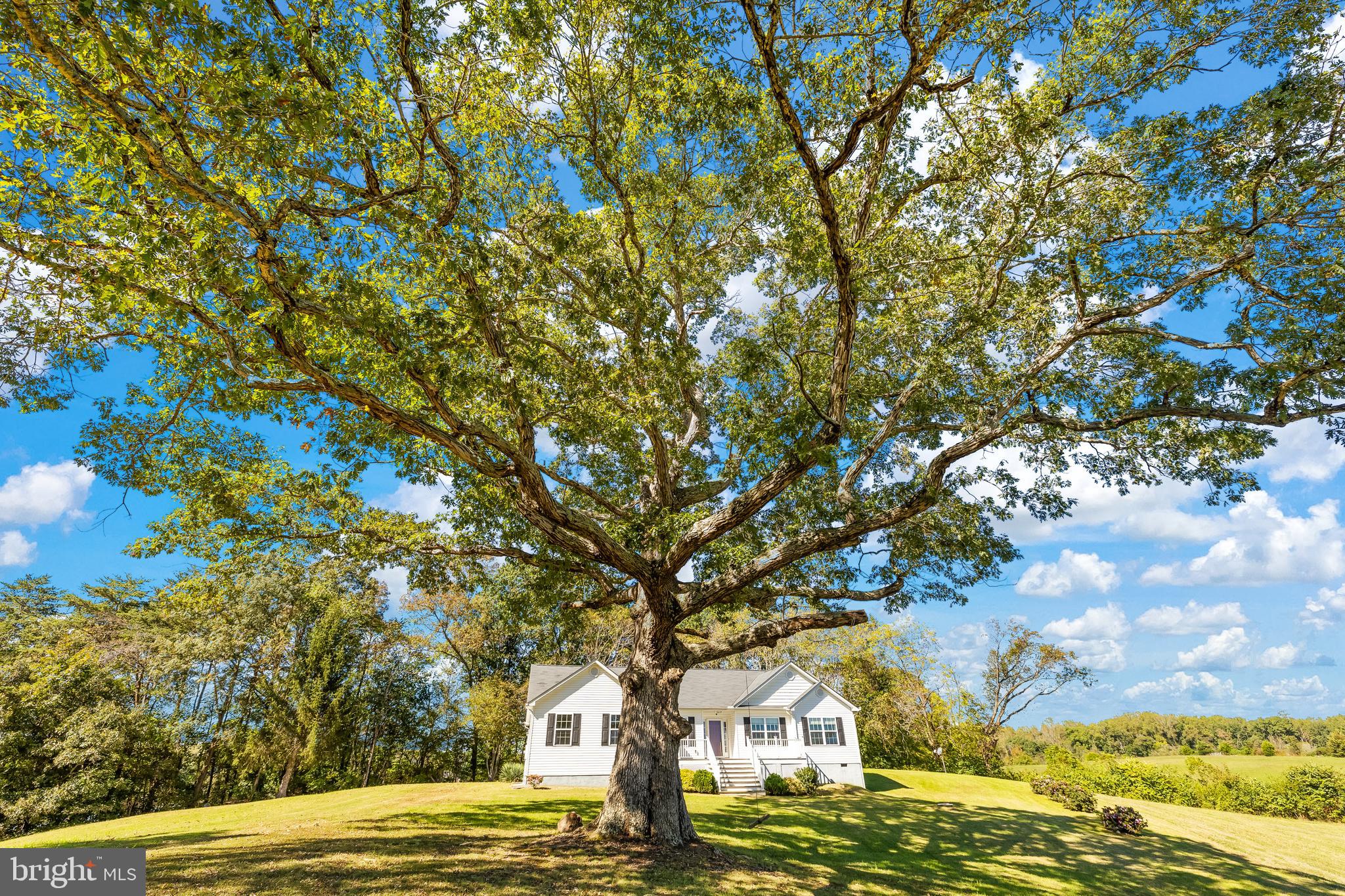 16025 Days Bridge Road Mineral, VA 23117 - Photo 57 of 68 Gallery Image 57