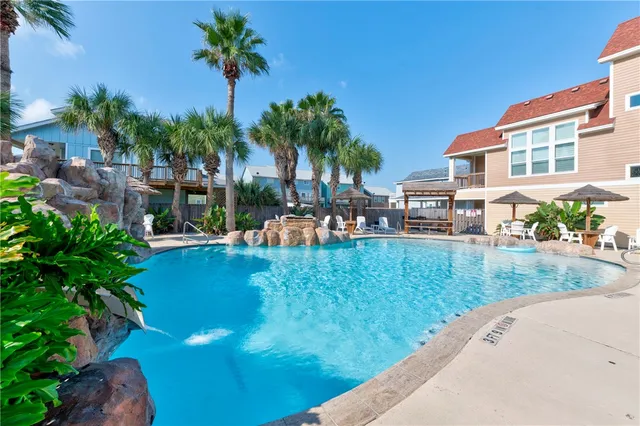 a view of a swimming pool with lawn chairs potted plants and palm tree