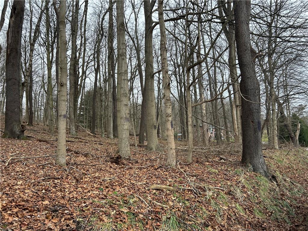 Bieda Lot Davis School Road Washington, PA 15301 - Photo 1 of 6 Gallery Image 1