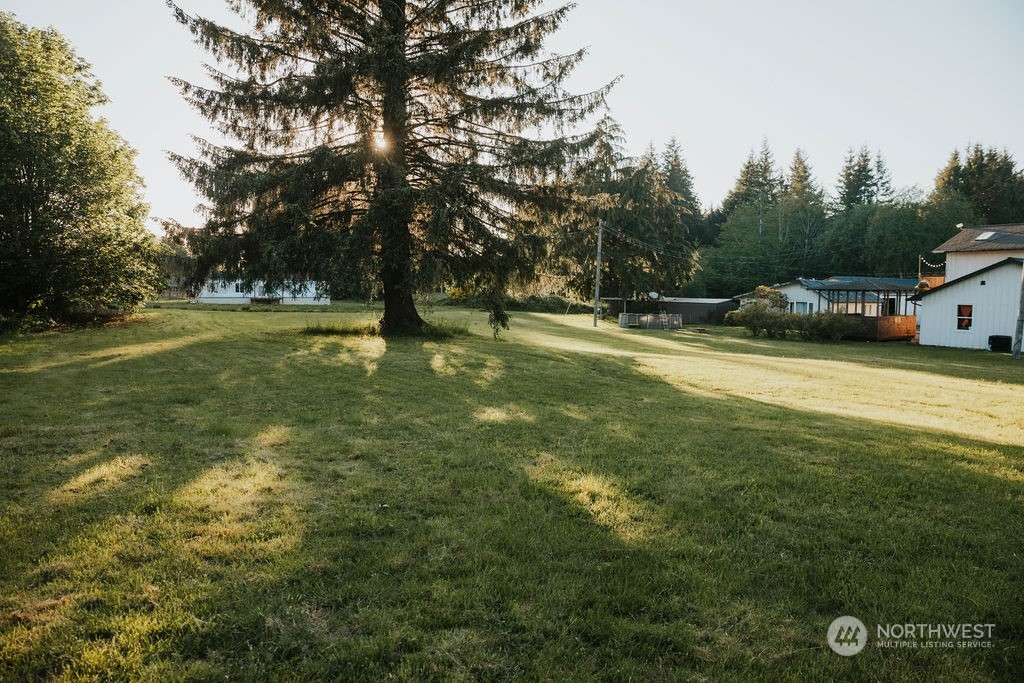 999 Nelson Road Forks, WA 98331 - Photo 6 of 26 Gallery Image 6