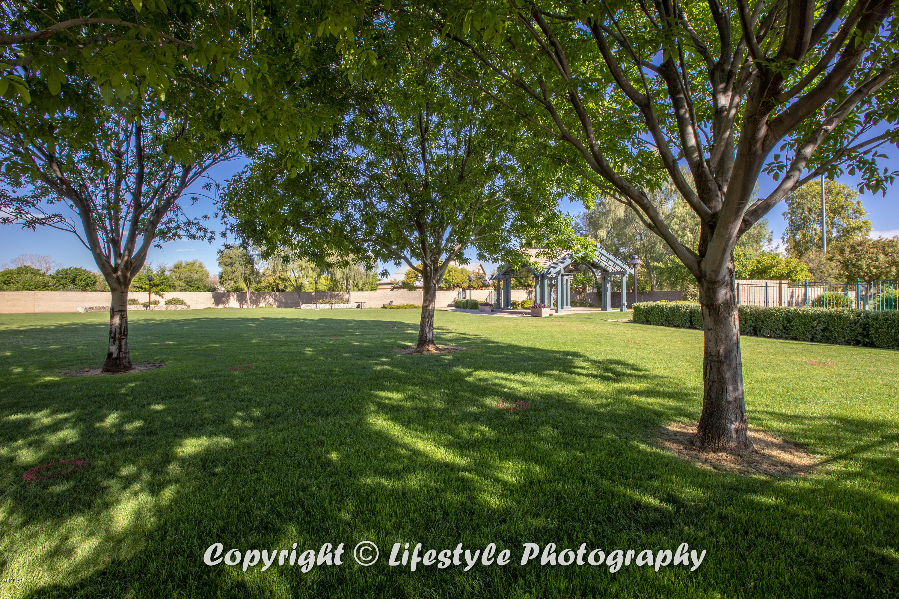 15349 West Bloomfield Road Surprise, AZ 85379 - Photo 28 of 81 MPamenities081