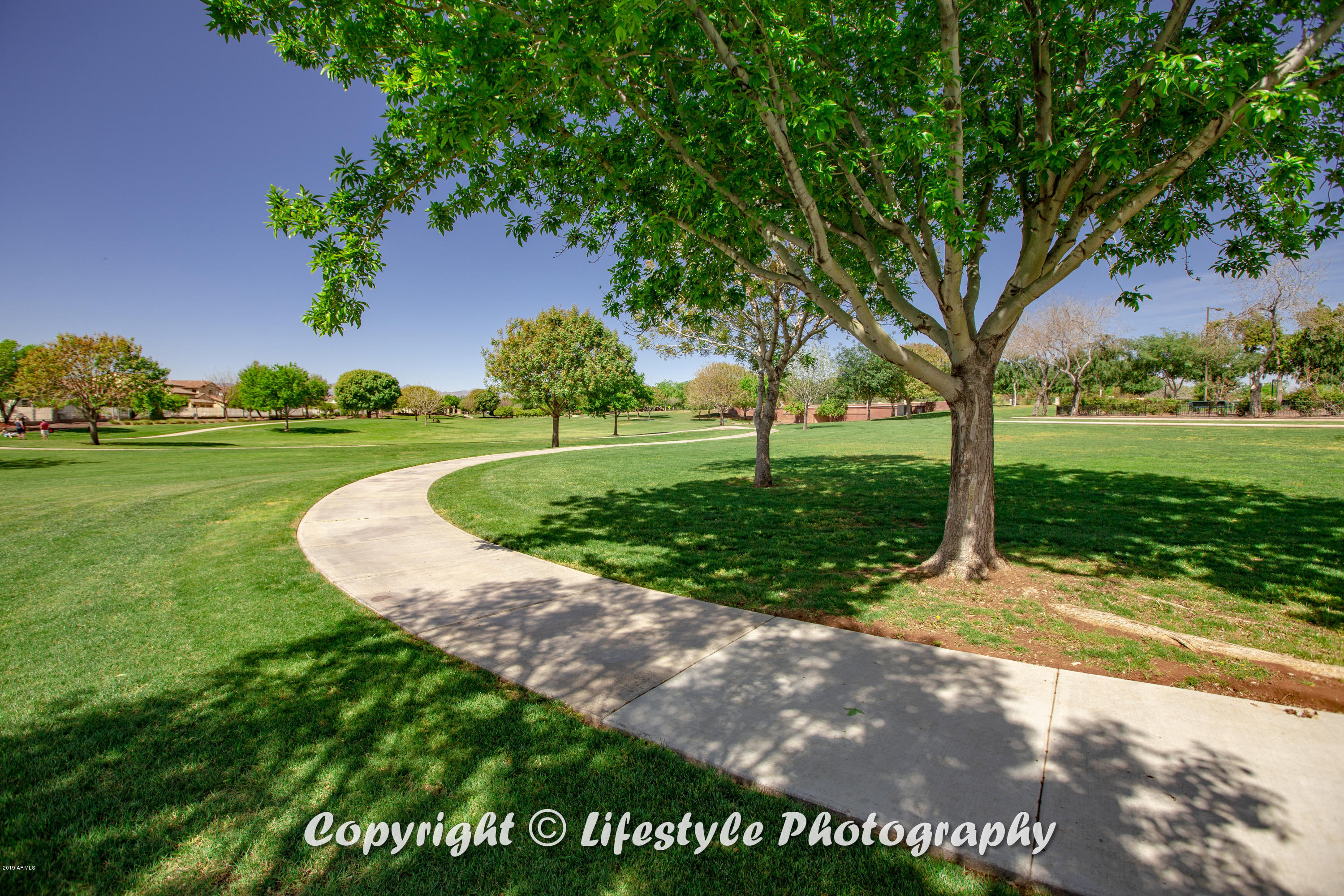 15349 West Bloomfield Road Surprise, AZ 85379 - Photo 67 of 81 MPamenities035