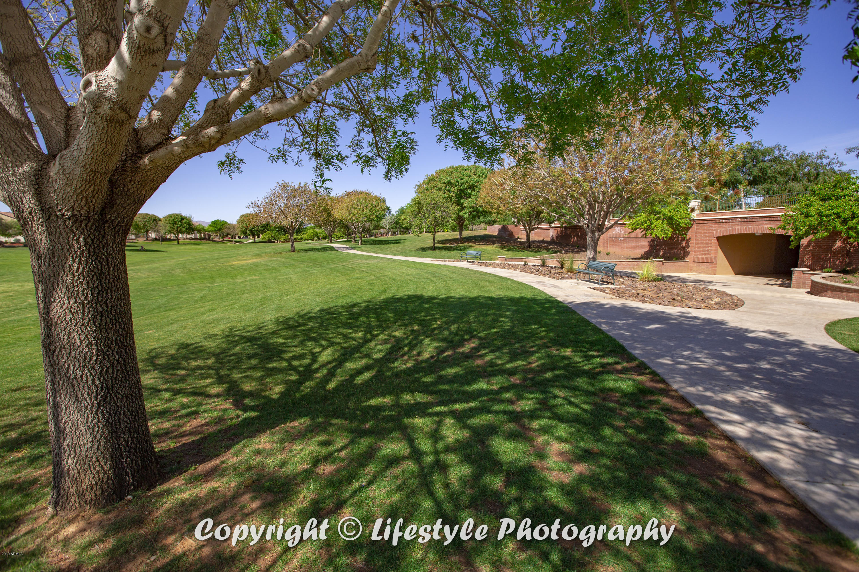 15349 West Bloomfield Road Surprise, AZ 85379 - Photo 68 of 81 MPamenities036