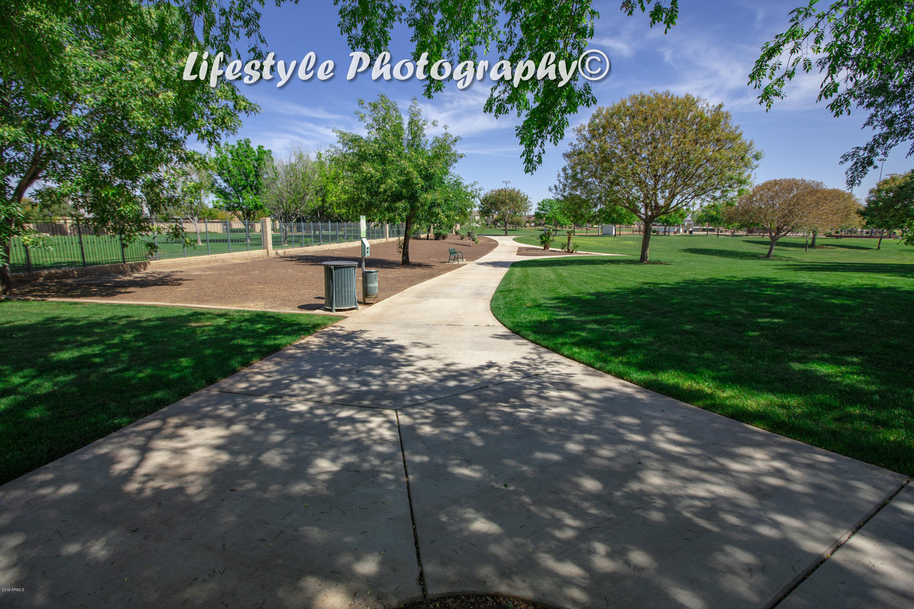 15349 West Bloomfield Road Surprise, AZ 85379 - Photo 71 of 81 MPamenities039