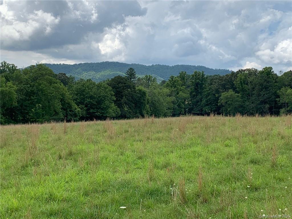 9999 Gravely Branch Road Fletcher, NC 28732 - Photo 1 of 9 Gallery Image 1