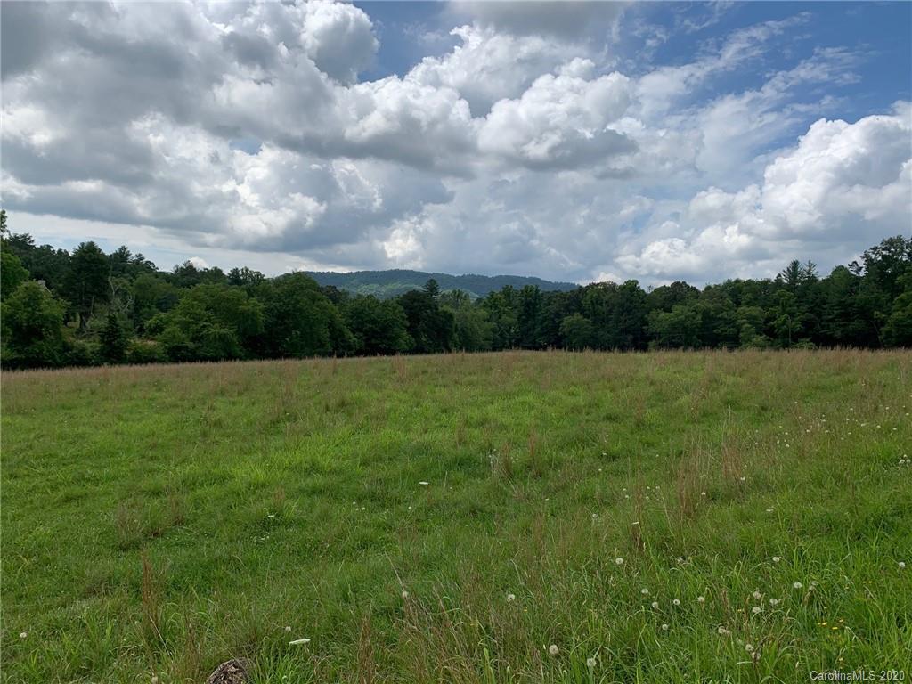 9999 Gravely Branch Road Fletcher, NC 28732 - Photo 3 of 9 Gallery Image 3