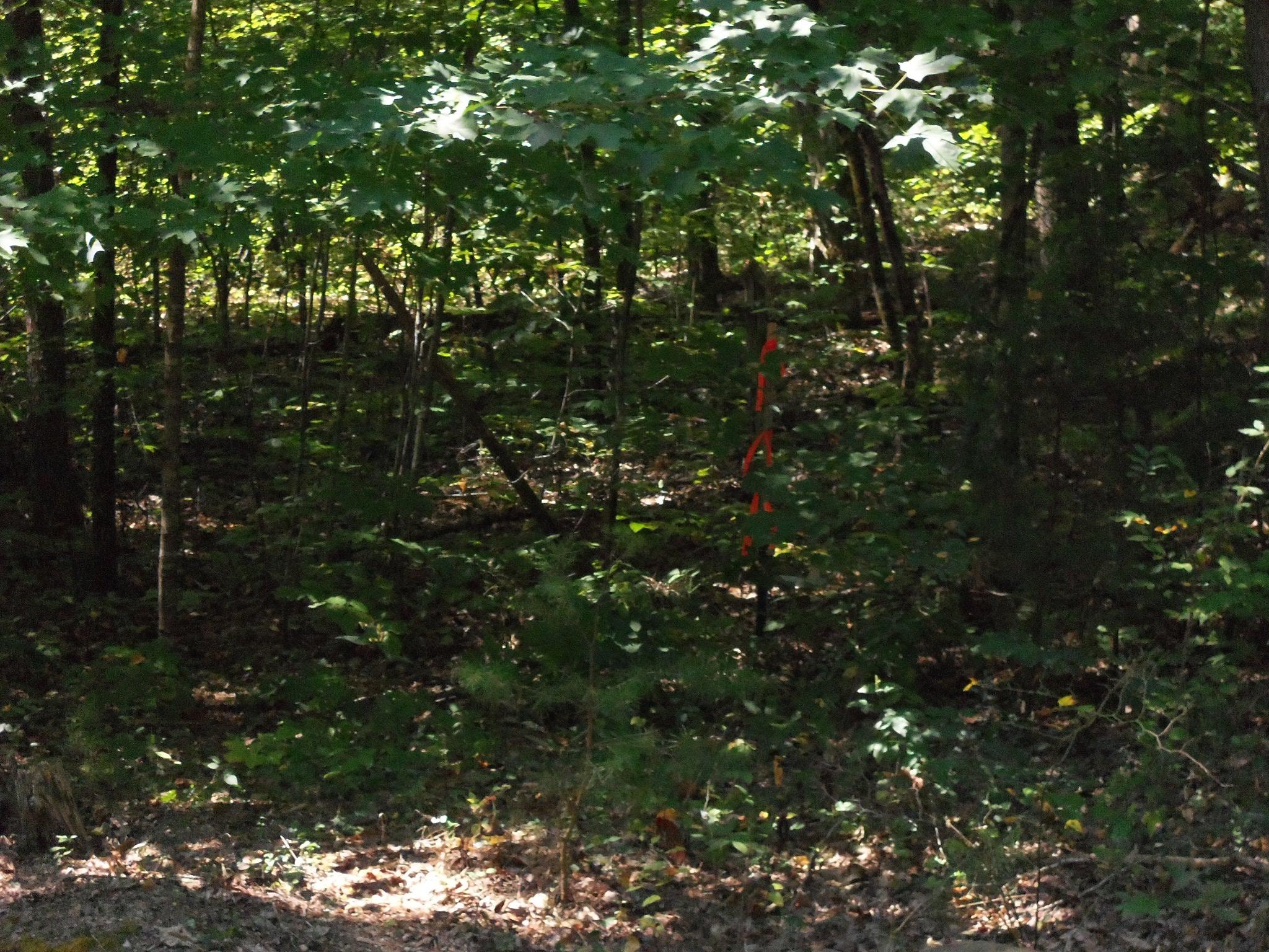 50 Smith Mountain Road Dunlap, TN 37327 - Photo 1 of 7 100_2581
