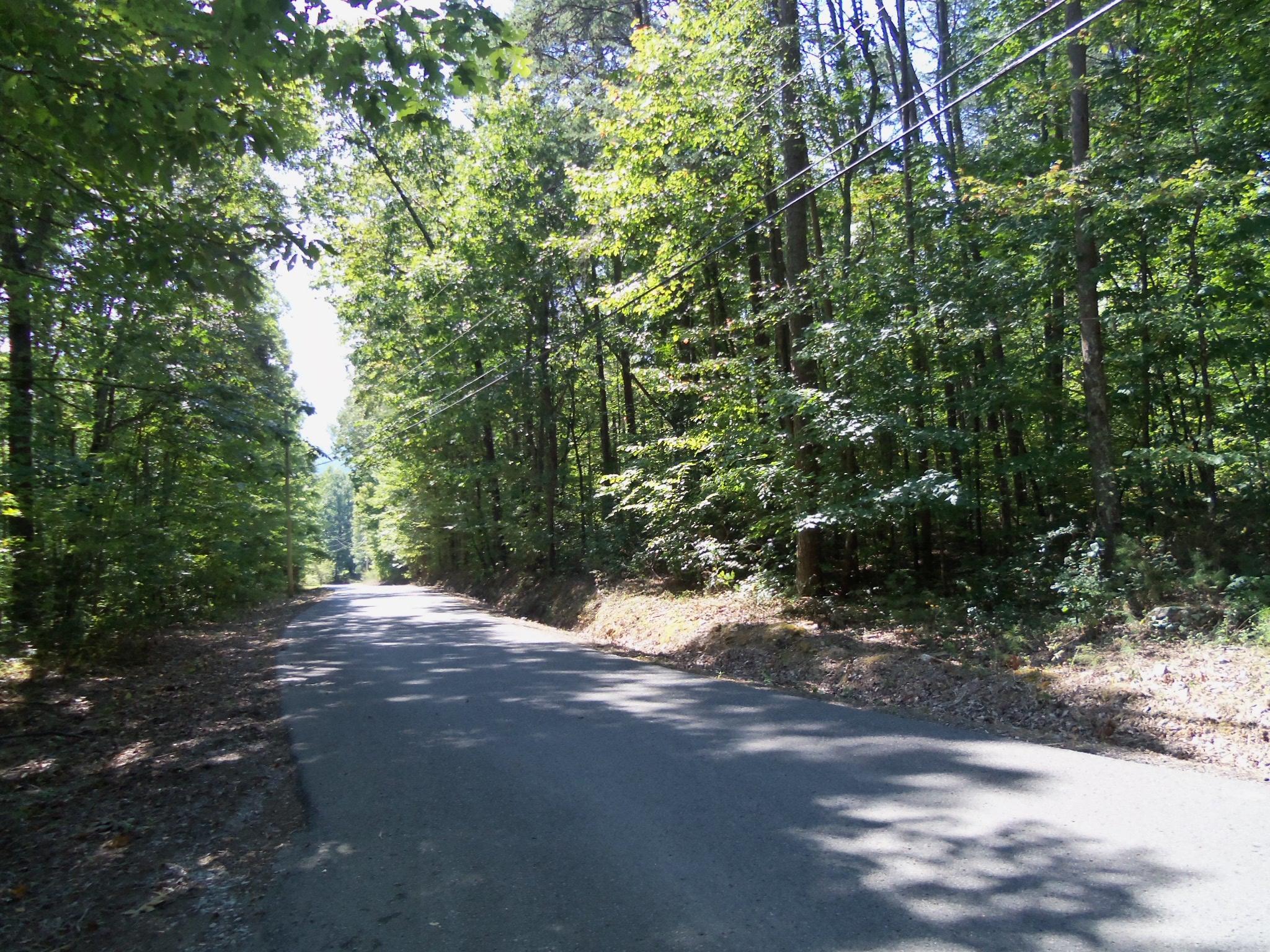 50 Smith Mountain Road Dunlap, TN 37327 - Photo 2 of 7 100_2580