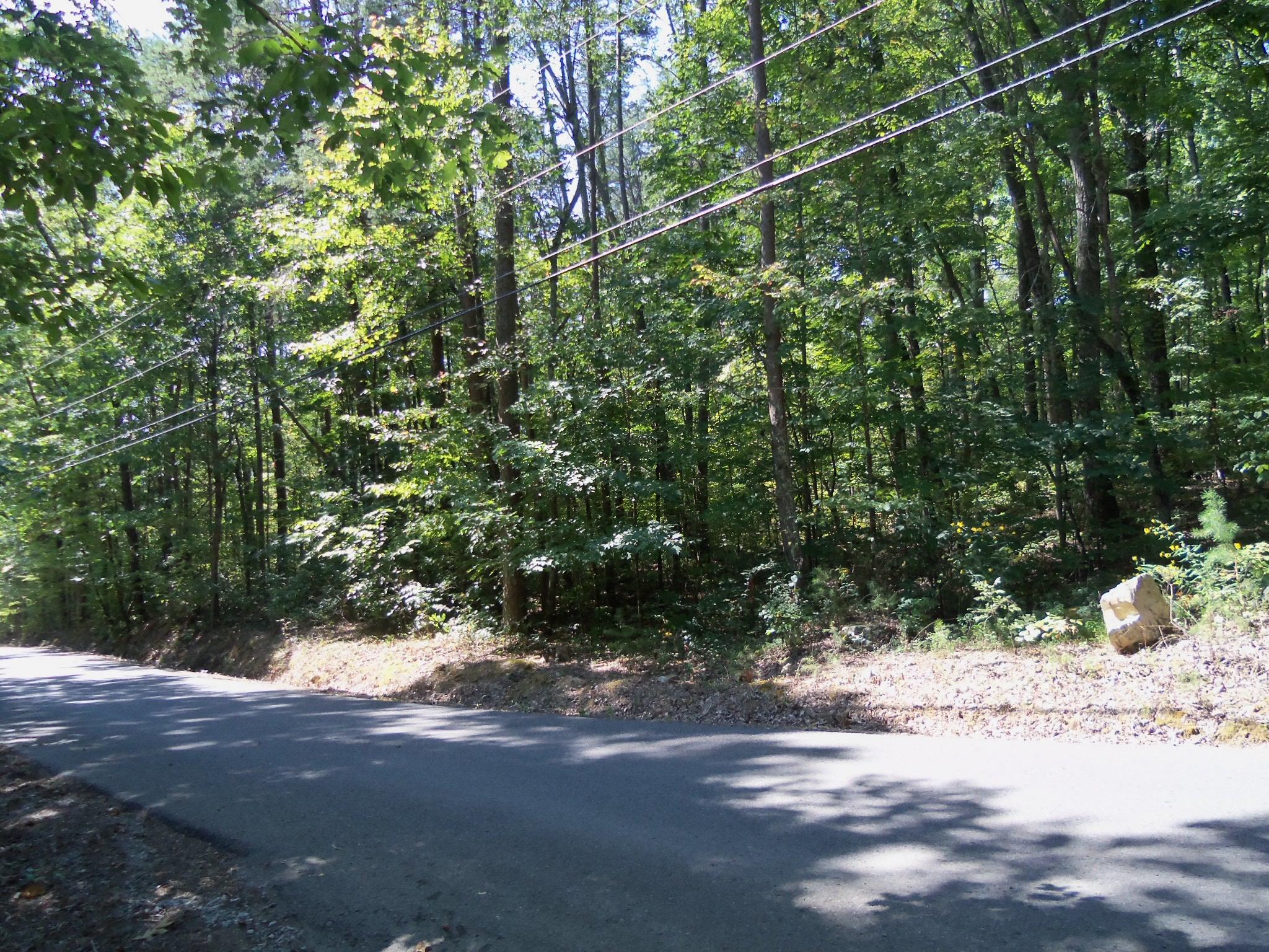 50 Smith Mountain Road Dunlap, TN 37327 - Photo 3 of 7 100_2579
