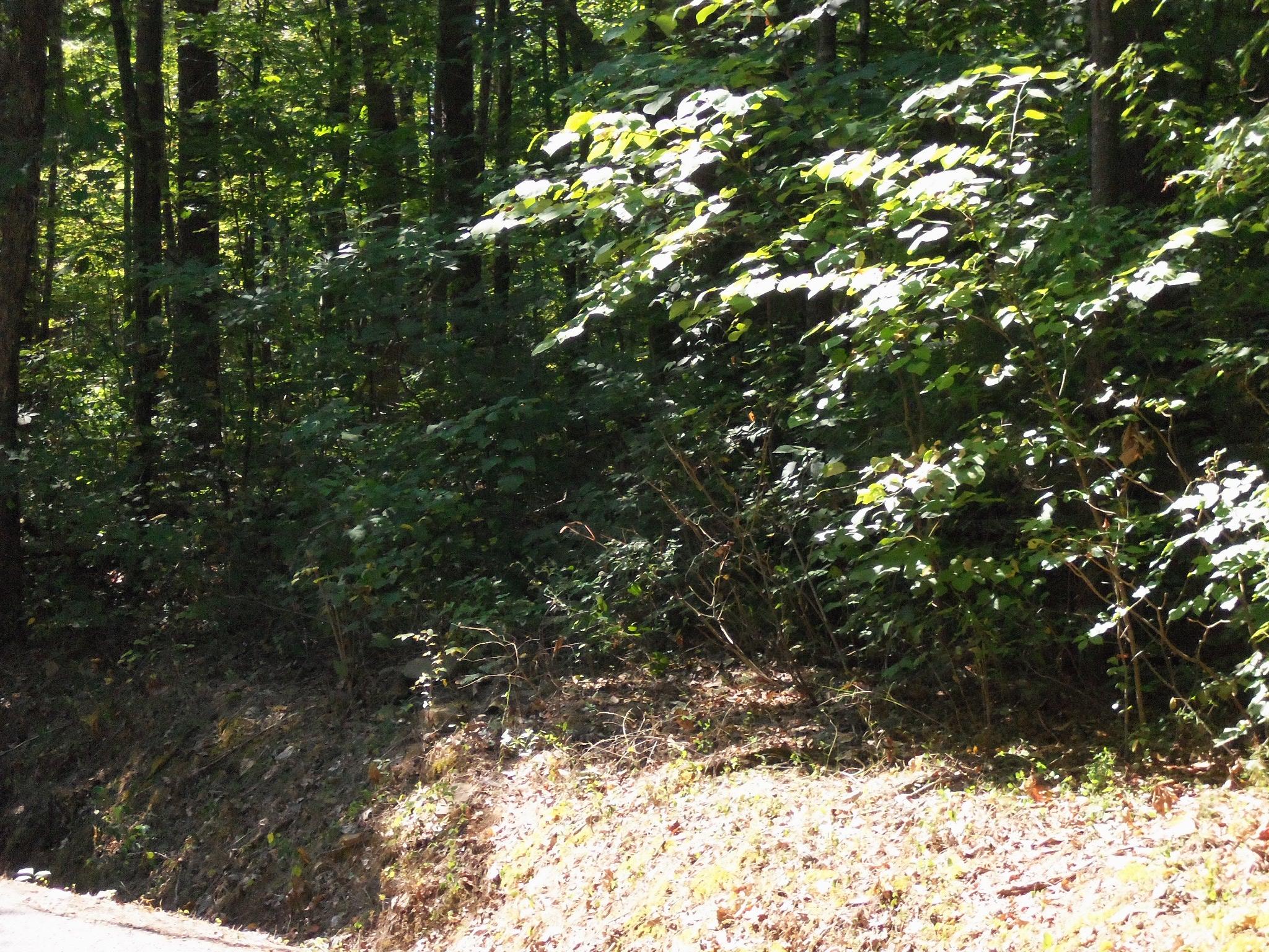 50 Smith Mountain Road Dunlap, TN 37327 - Photo 4 of 7 100_2582