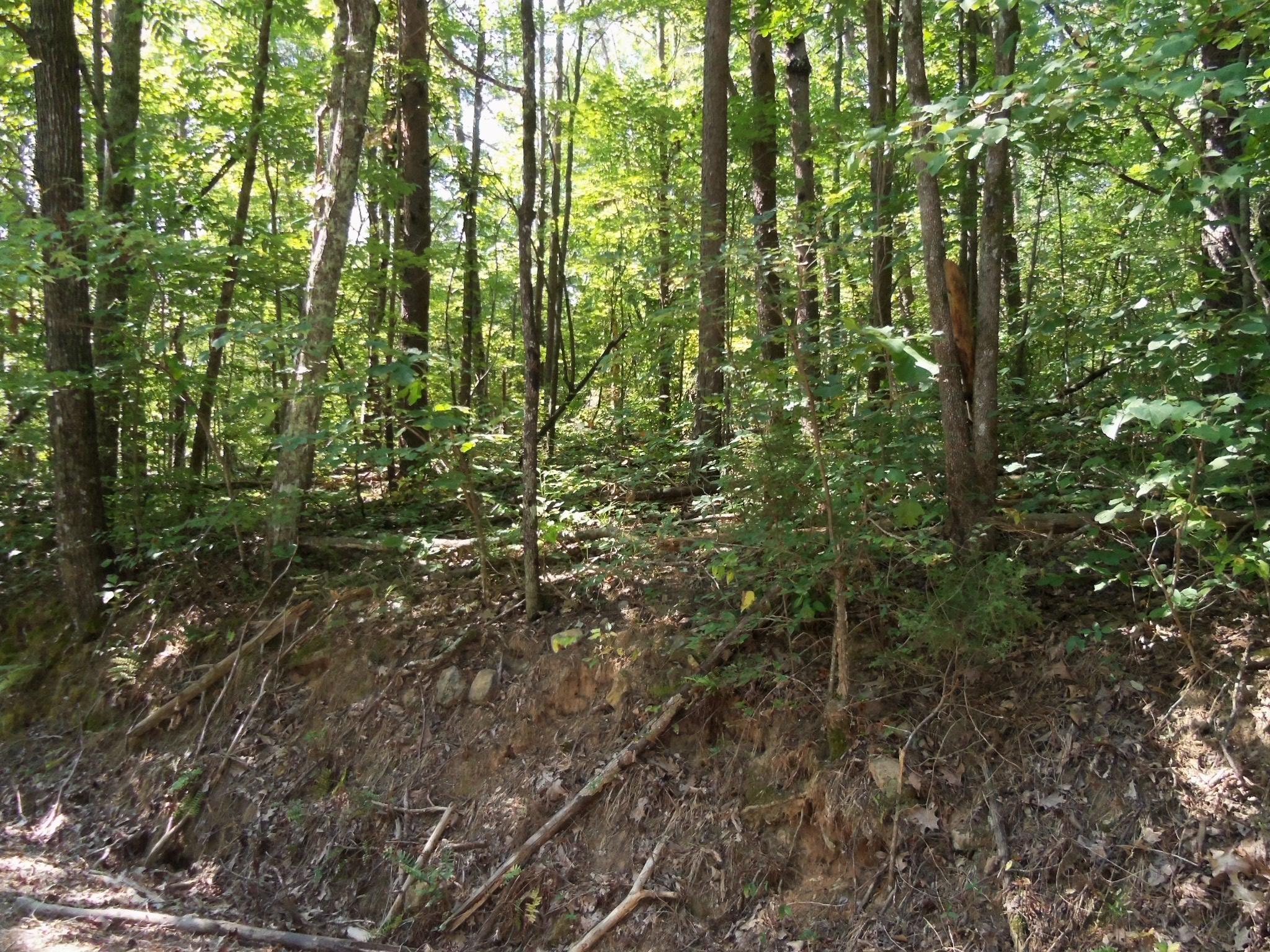 50 Smith Mountain Road Dunlap, TN 37327 - Photo 5 of 7 100_2583
