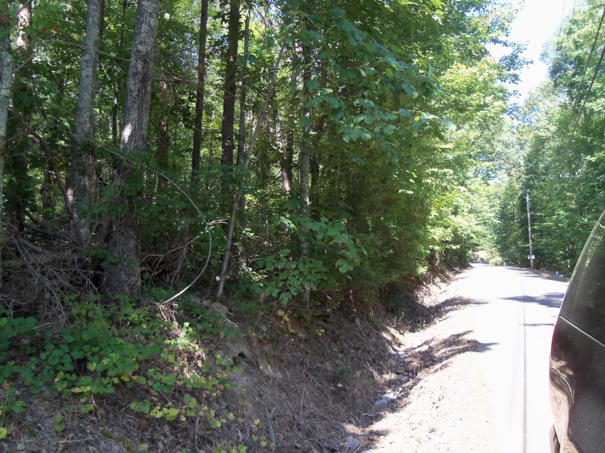 50 Smith Mountain Road Dunlap, TN 37327 - Photo 7 of 7 100_2585