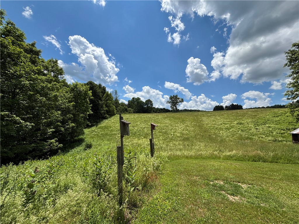 1267 Gorton Road Hamilton, NY 13332 - Photo 11 of 42