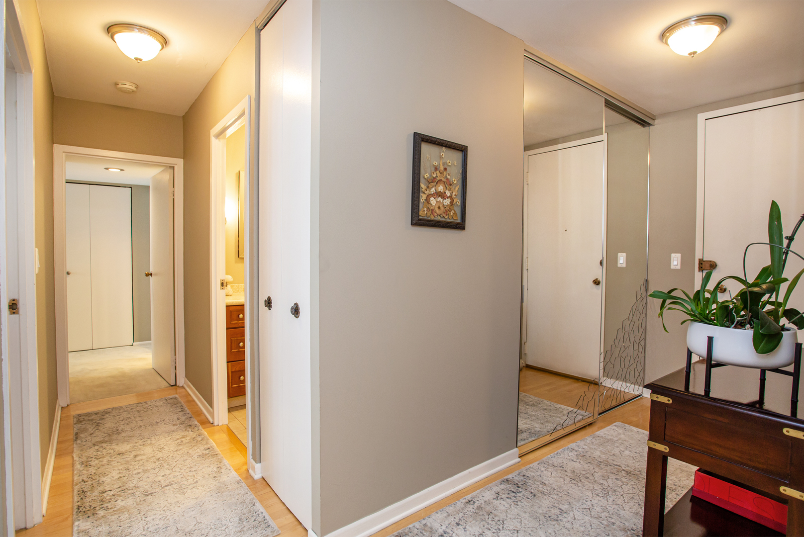 6007 North Sheridan Road, Unit 39D Chicago, IL 60660 - Photo 11 of 20 a view of a hallway with wooden floor and a potted plant