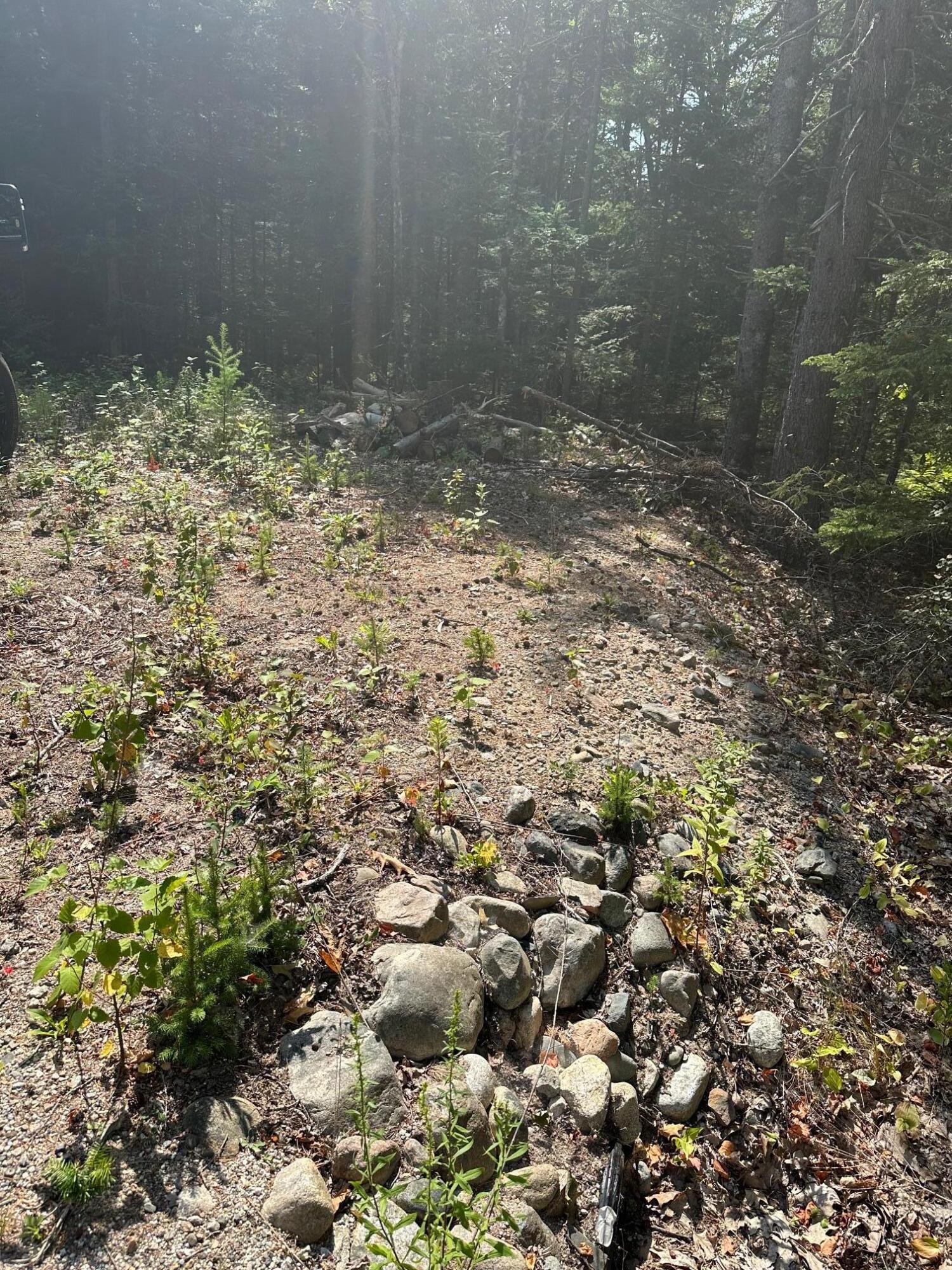 0 Route 1 Route Gouldsboro, ME 04607 - Photo 2 of 12