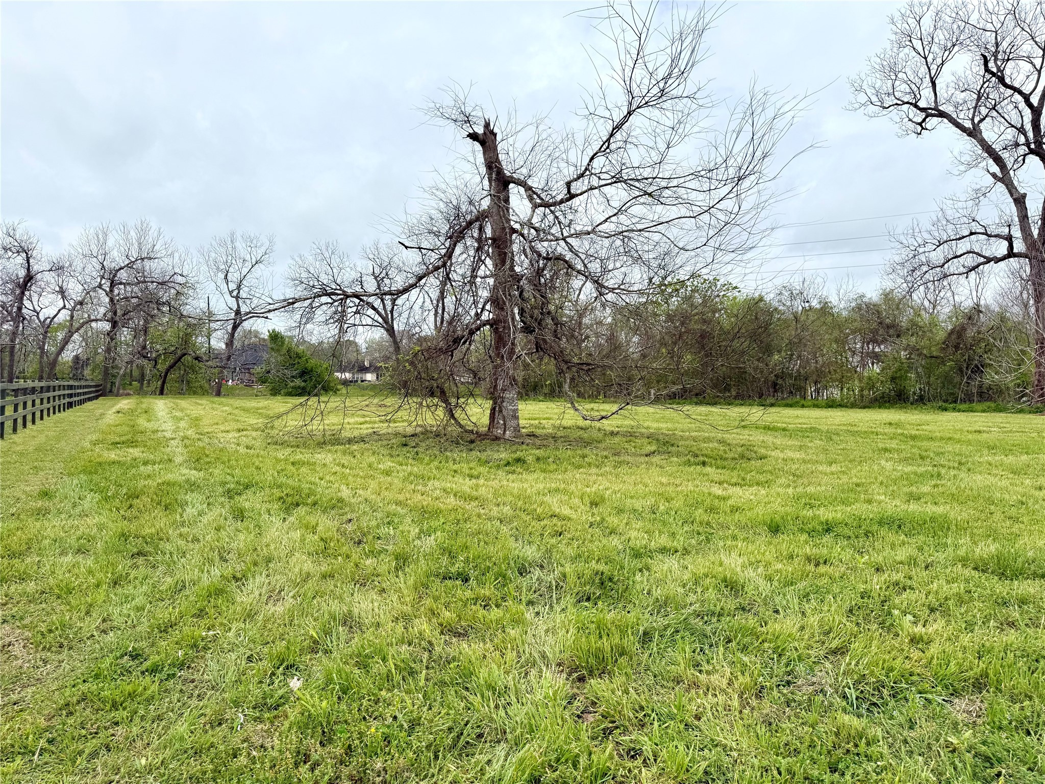 30602 Lower Oxbow Trace Fulshear, TX 77441 - Photo 5 of 7