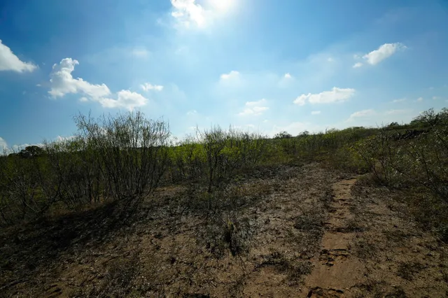 a view of a big yard with lots of green space