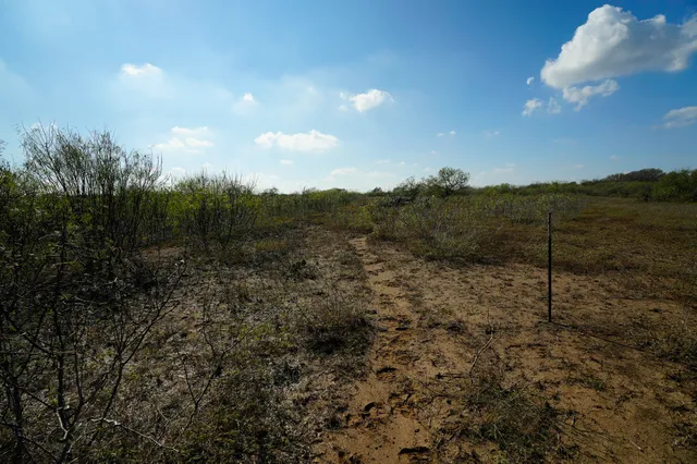 a view of a and a yard