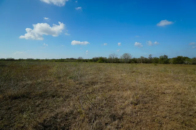 a view of a field with an ocean