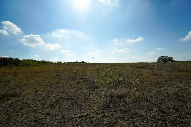 a view of a big yard with an outdoor space and seating