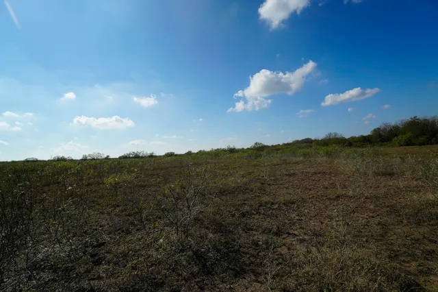 $149,500 | Lot 12 Cr 447 Waelder Tx 78959, Waelder, TX 78959