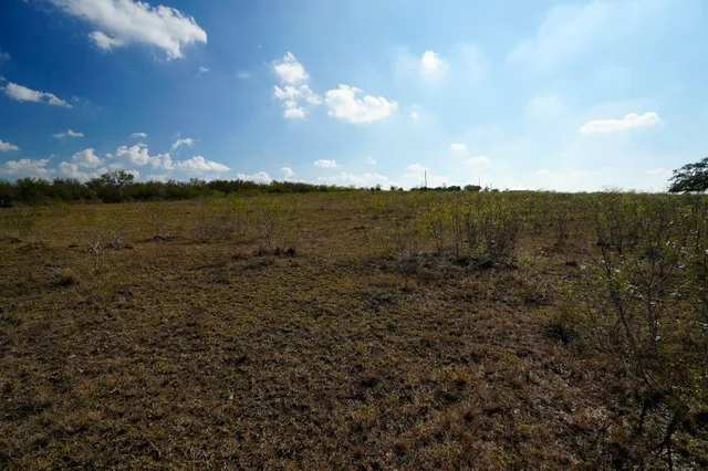 a view of lake and mountain
