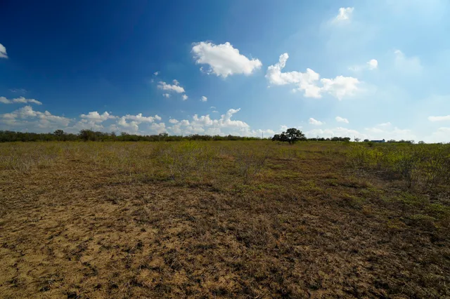 a view of a field with an ocean