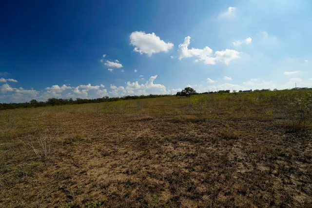 a view of a city with lush green forest
