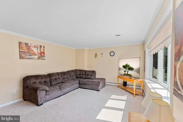 a living room with furniture and a couch