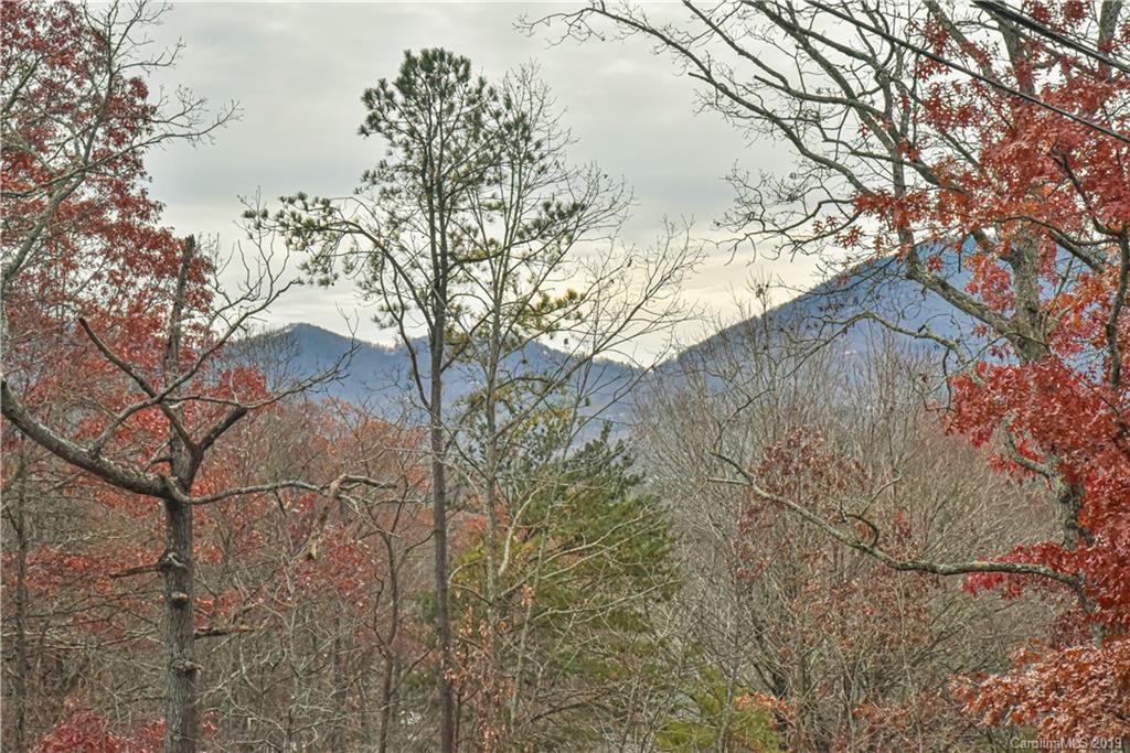 250 Mount Allen Road Black Mountain, NC 28711 - Photo 4 of 22 a backyard of a house with large trees