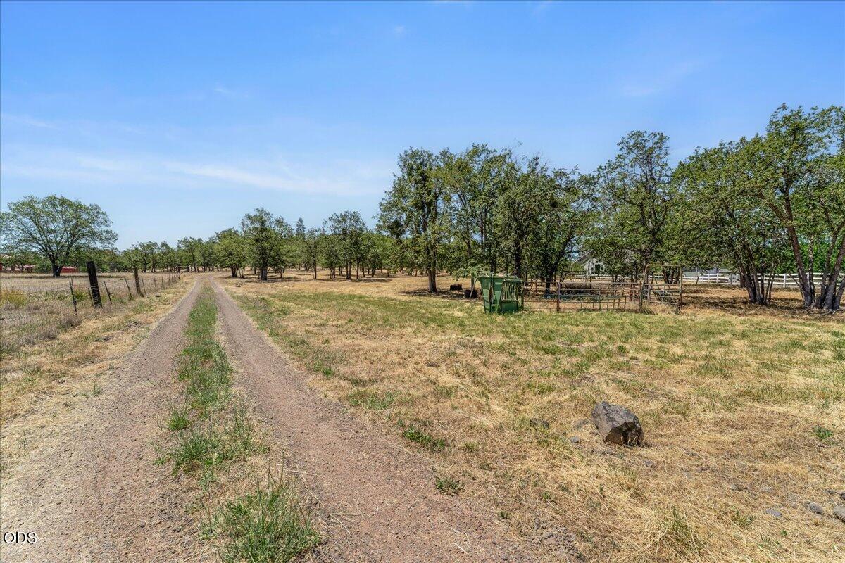 1712 Stevens Road Eagle Point, OR 97524 - Photo 48 of 63