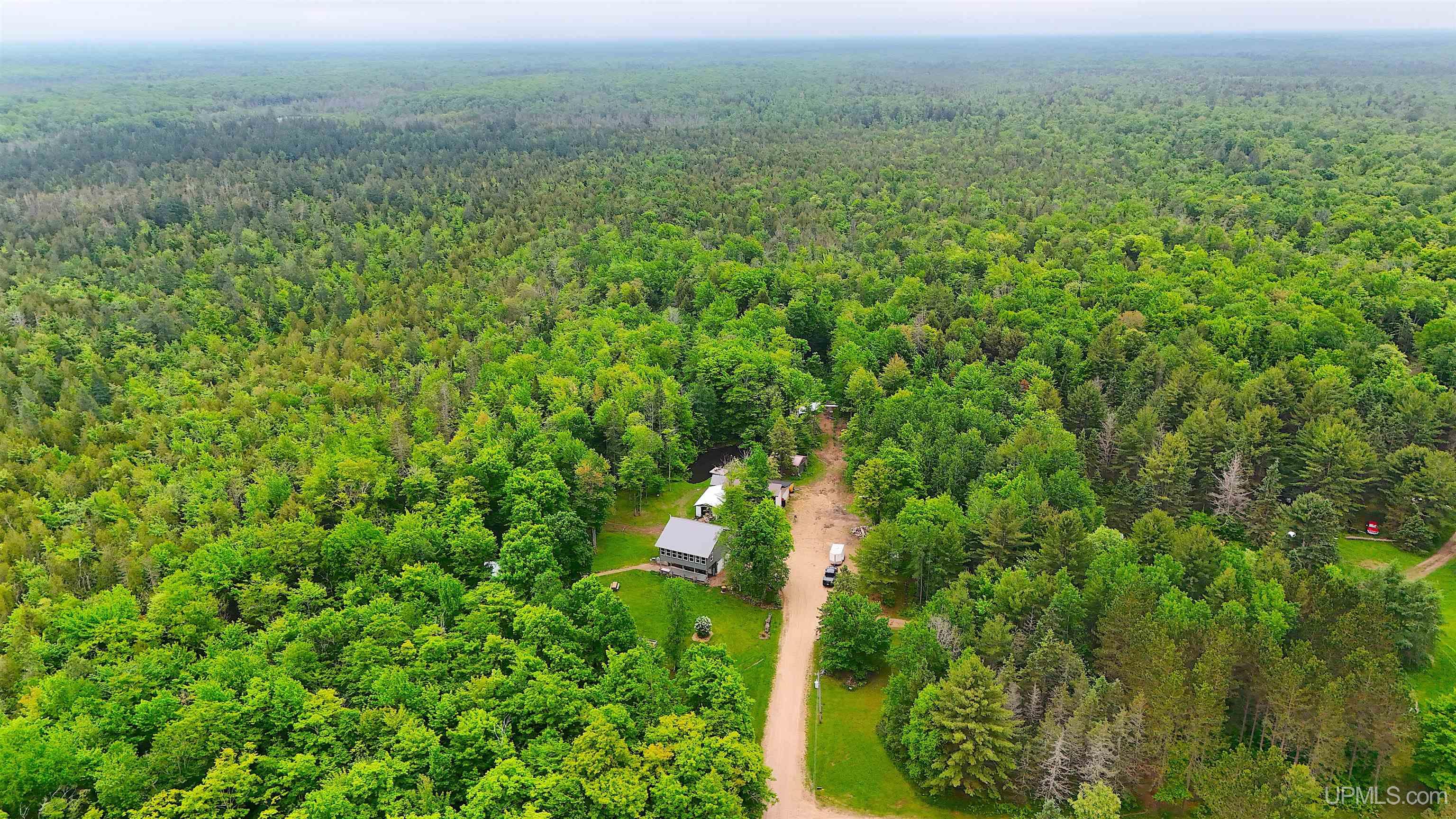 N5232 Dhondt Road Skandia, MI 49885 - Photo 43 of 53