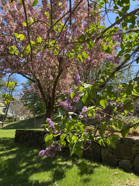 37 Emerson Road Winchester, MA 01890 - Photo 33 of 35 Gallery Image 33