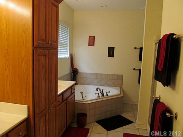 8093 Summit Ridge Drive Catawba, NC 28609 - Photo 13 of 16 a bathroom with a bathtub and a shower