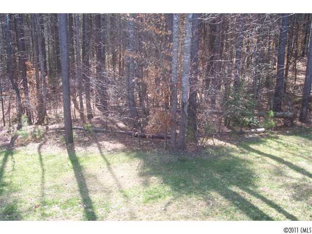 8093 Summit Ridge Drive Catawba, NC 28609 - Photo 10 of 16 a backyard of a house with a yard