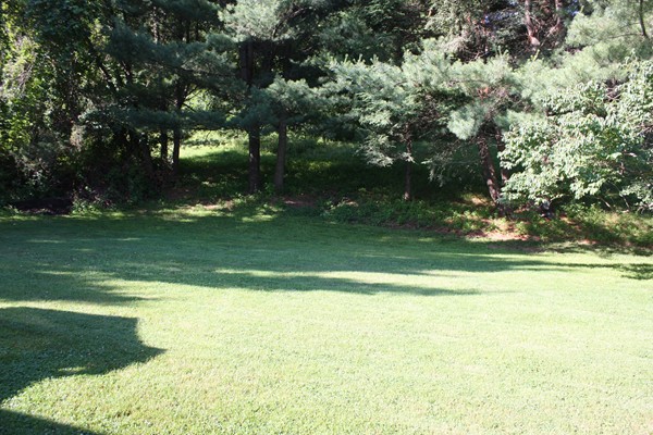51 Ridgewood Road Milton, MA 02186 - Photo 5 of 17 Gallery Image 5