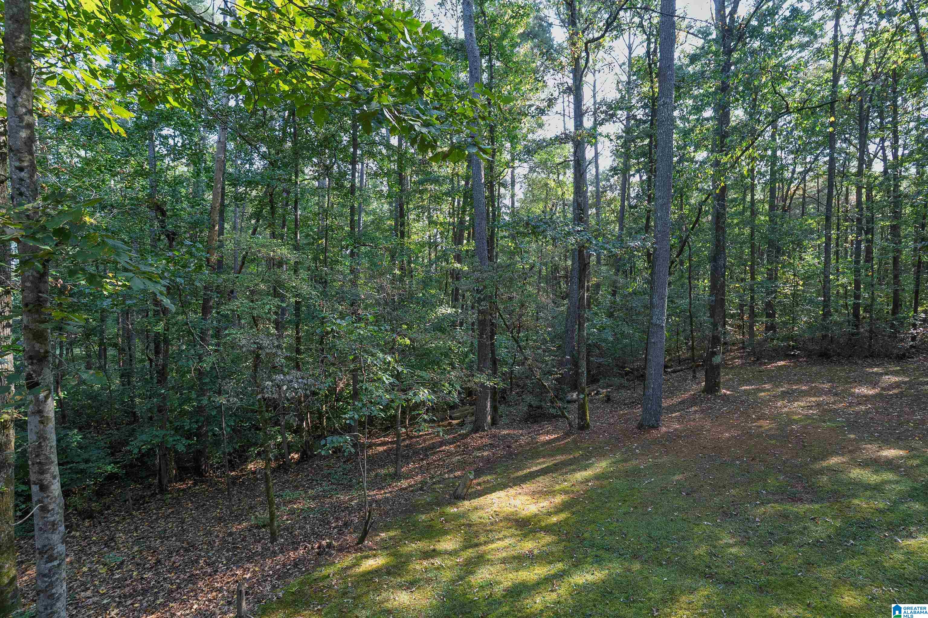 6804 Old Springville Road Pinson, AL 35126 - Photo 37 of 50 Gallery Image 37