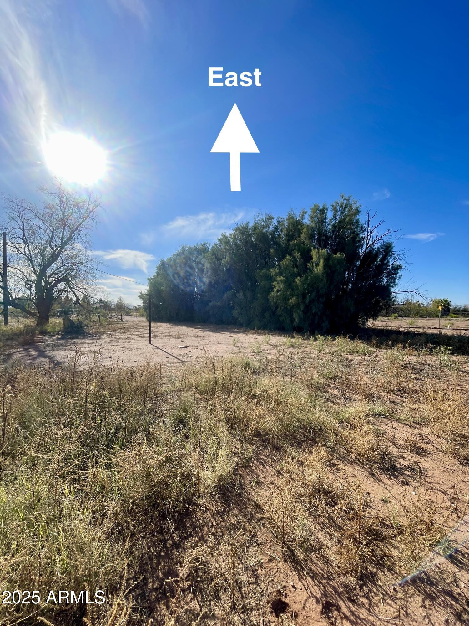 3983 North Plantation Road Douglas, AZ 85607 - Photo 3 of 9 a view of a yard with a tree