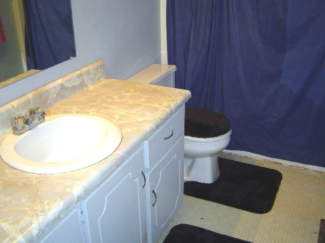 1125 Cox Lake Road Belton, SC 29627 - Photo 8 of 9