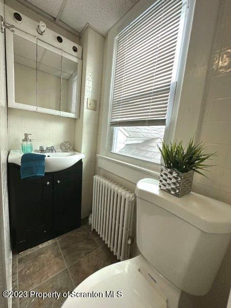 428 Cherry Street Scranton, PA 18505 - Photo 18 of 29 a bathroom with a sink a toilet and a mirror