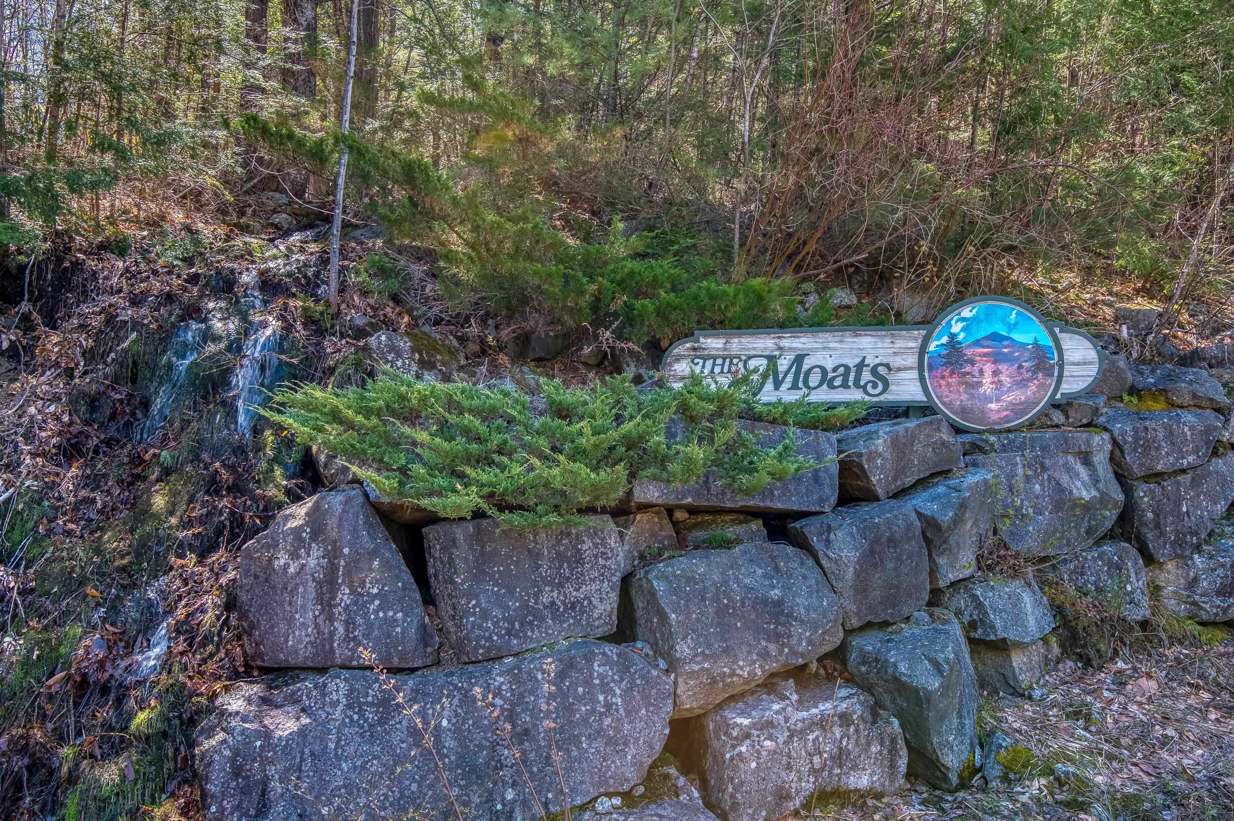 0 Moat View Drive, Unit LOT 18 Albany, NH 03818 - Photo 14 of 15