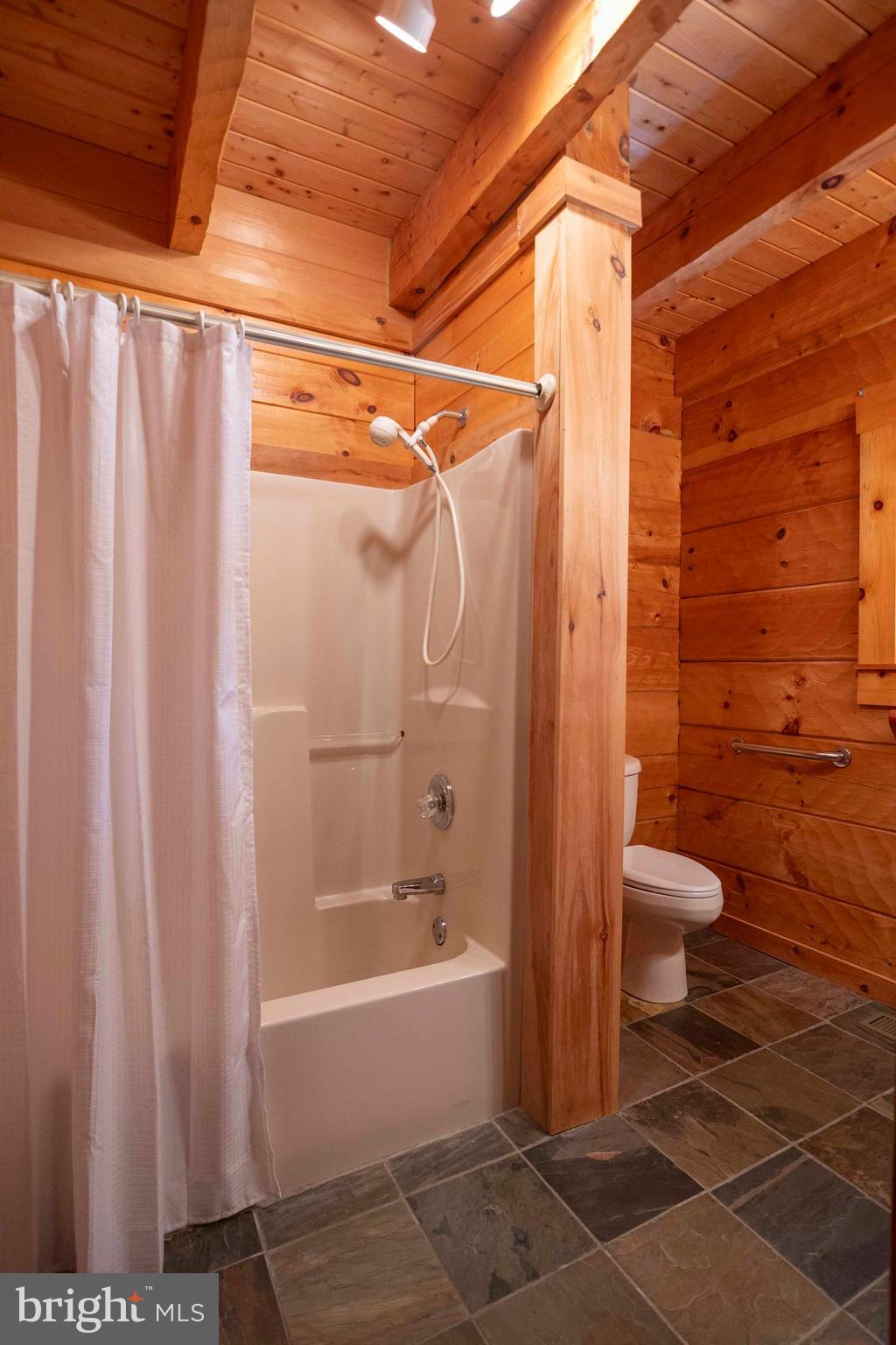 10201 Leetown Road Kearneysville, WV 25430 - Photo 64 of 133 a bathroom with a toilet and a shower