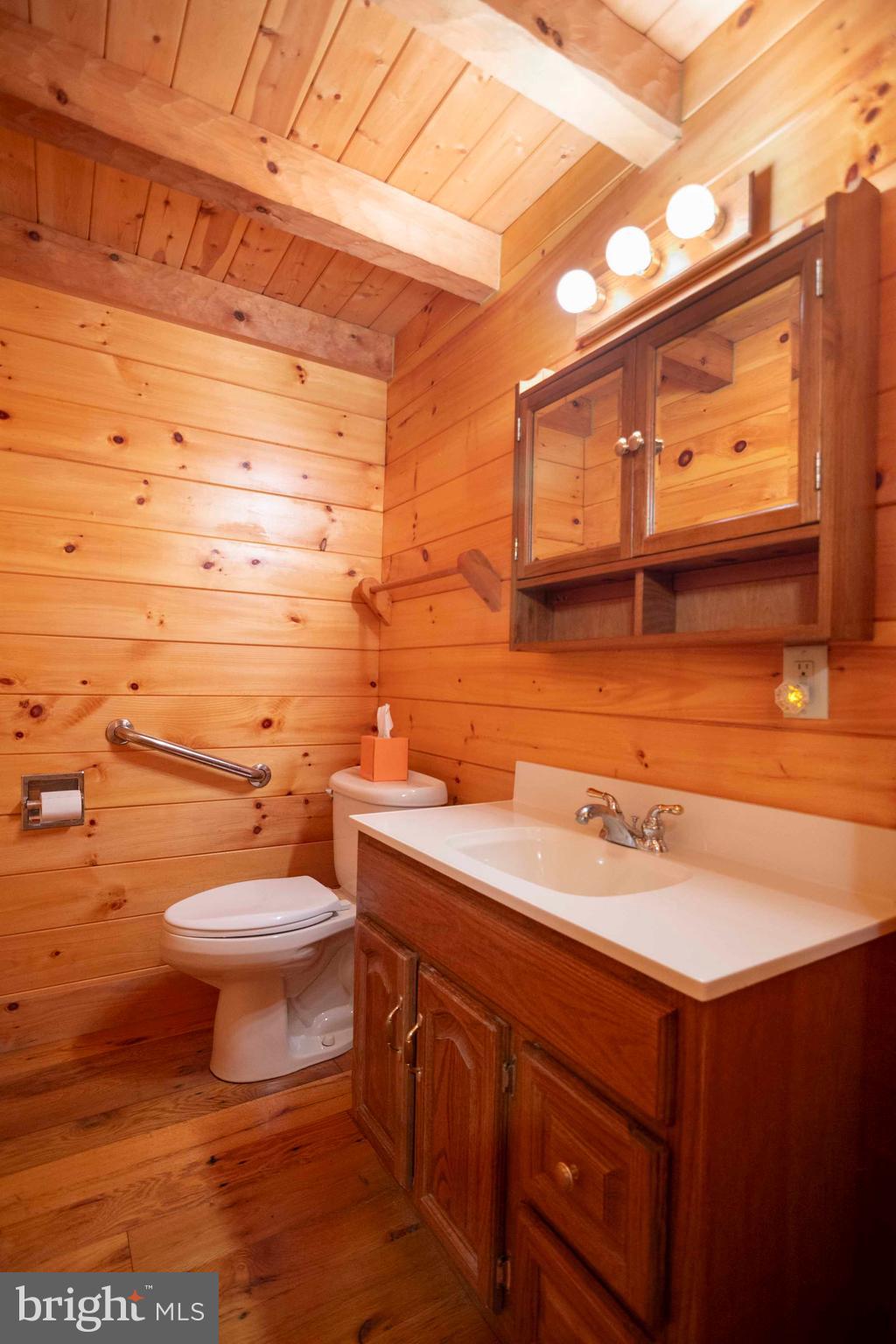 10201 Leetown Road Kearneysville, WV 25430 - Photo 66 of 133 a bathroom with a sink vanity mirror and toilet