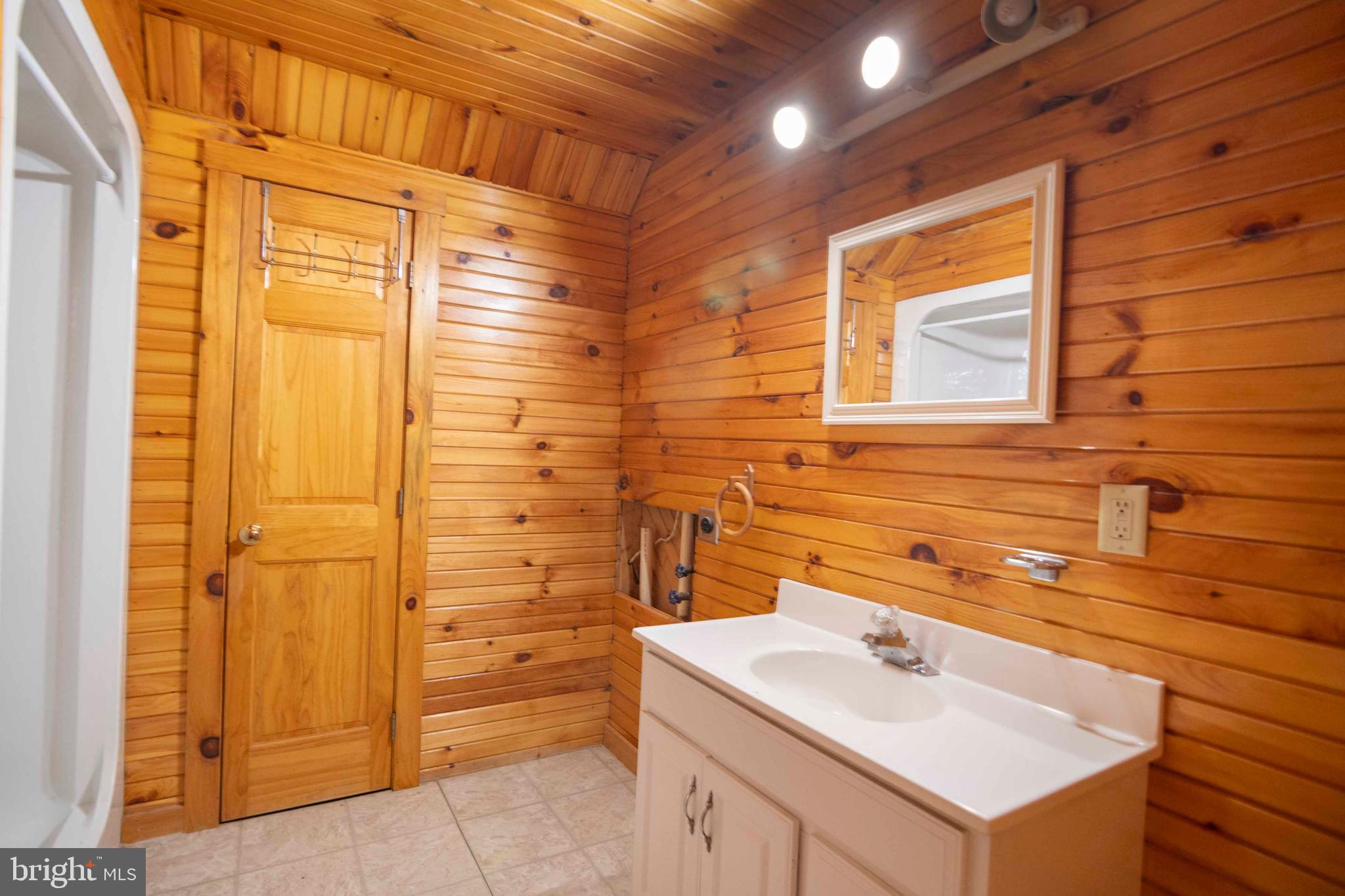 10201 Leetown Road Kearneysville, WV 25430 - Photo 88 of 133 a bathroom with a sink and a shower