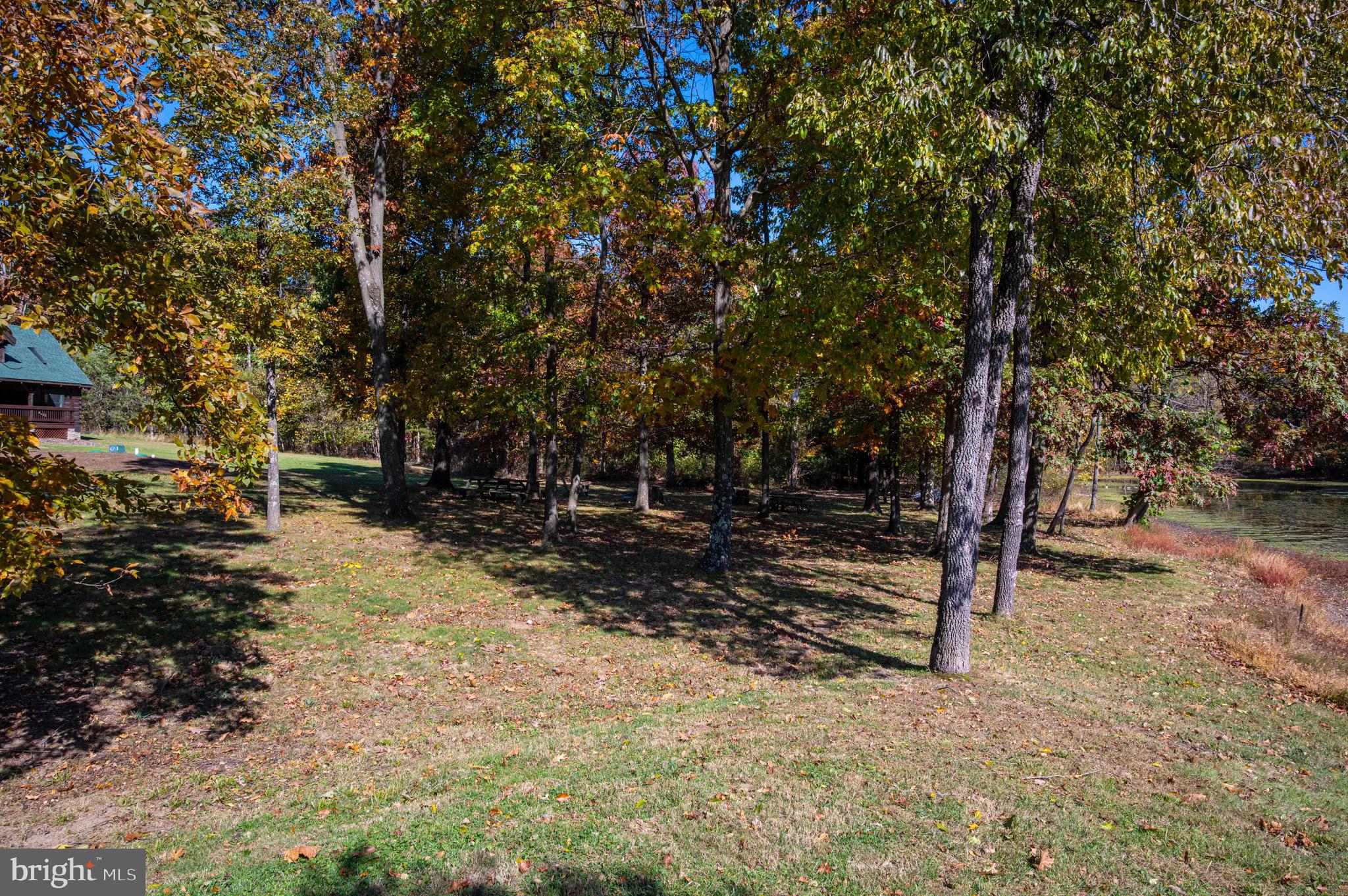 10201 Leetown Road Kearneysville, WV 25430 - Photo 98 of 133 a view of a park with large trees